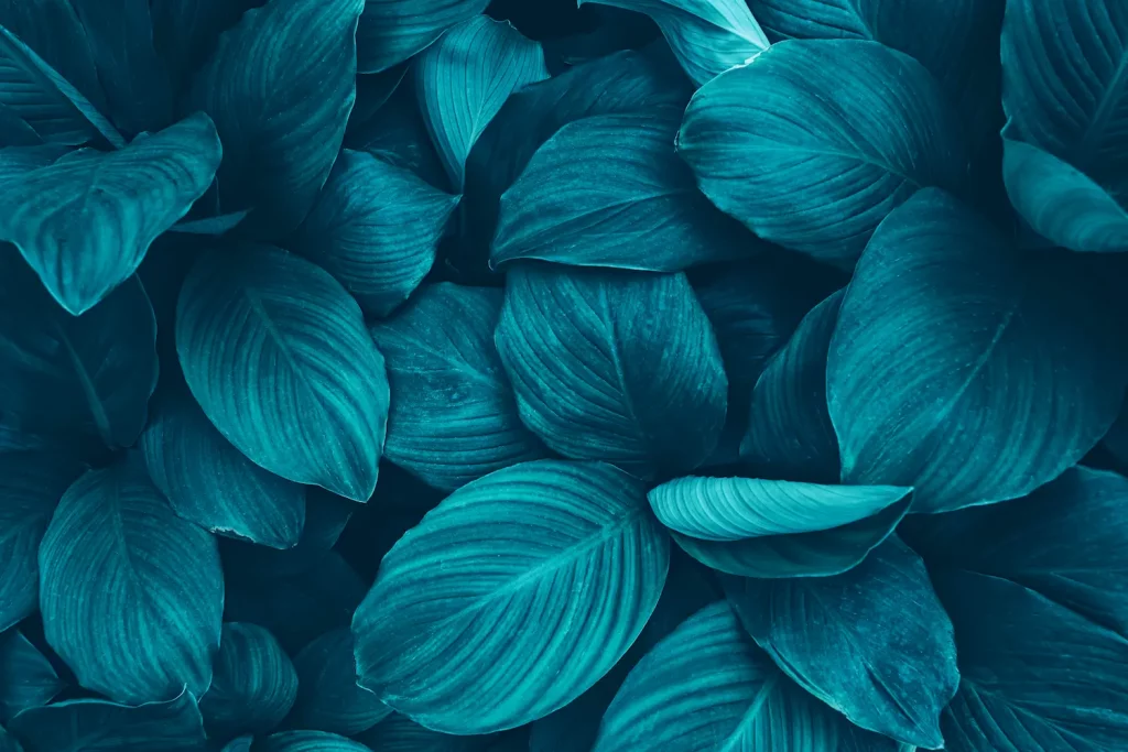 tropical leaves dark blue toned